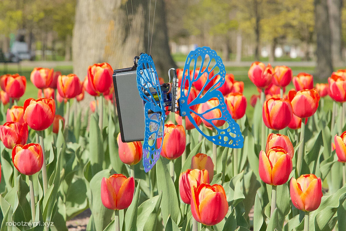 Robot Butterfly hovering over the tulips in the park