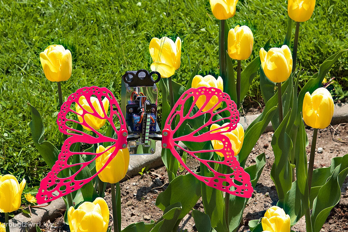 Robot Butterfly with magenta wings hovering through the yellow tulips