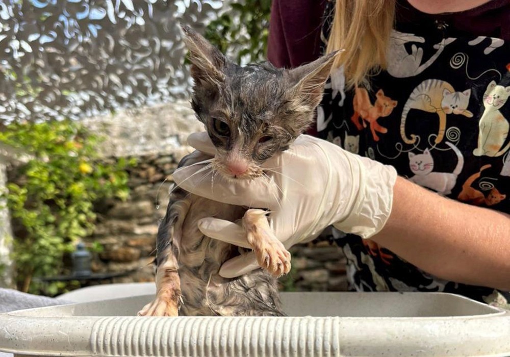Luna’s first bath!