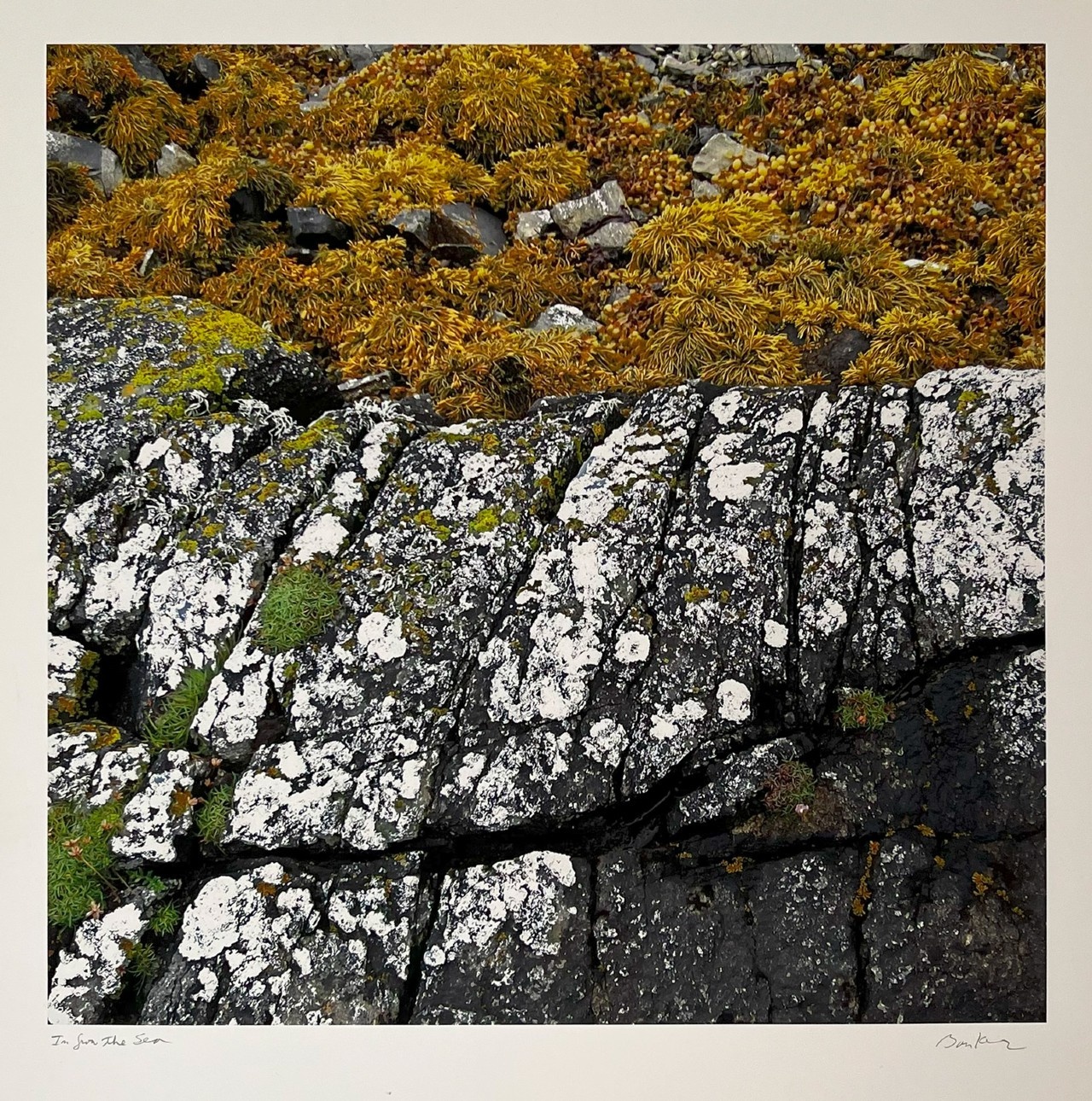 Image description