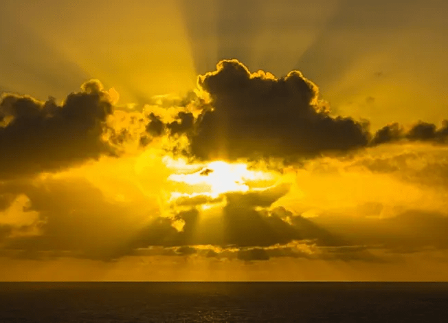 Beatific Vision study day