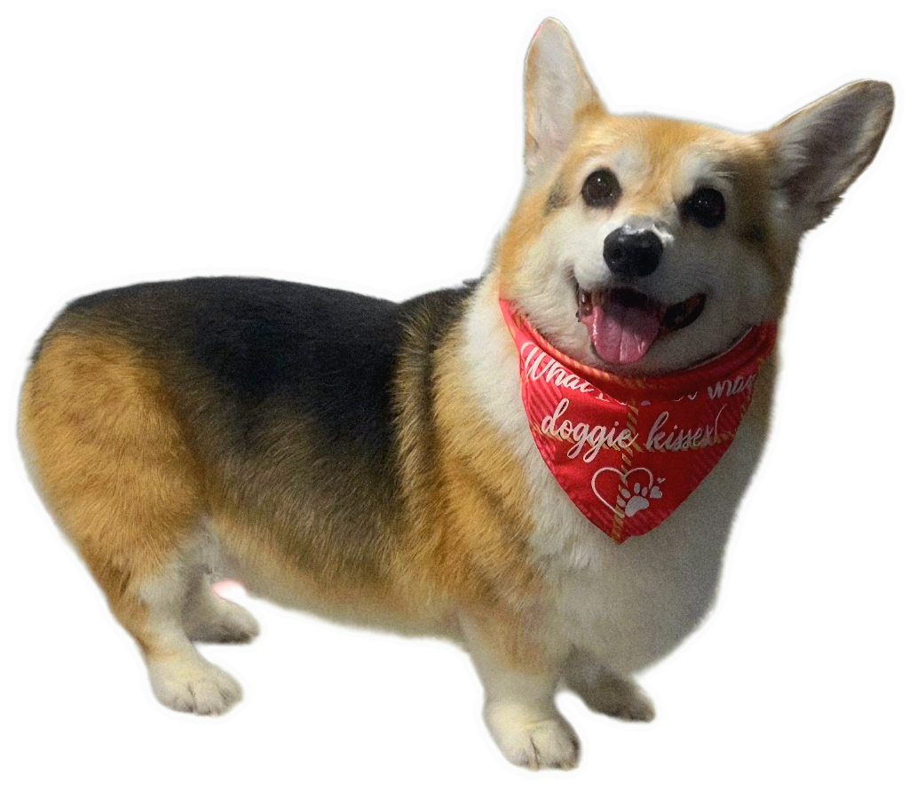 Science, my dog