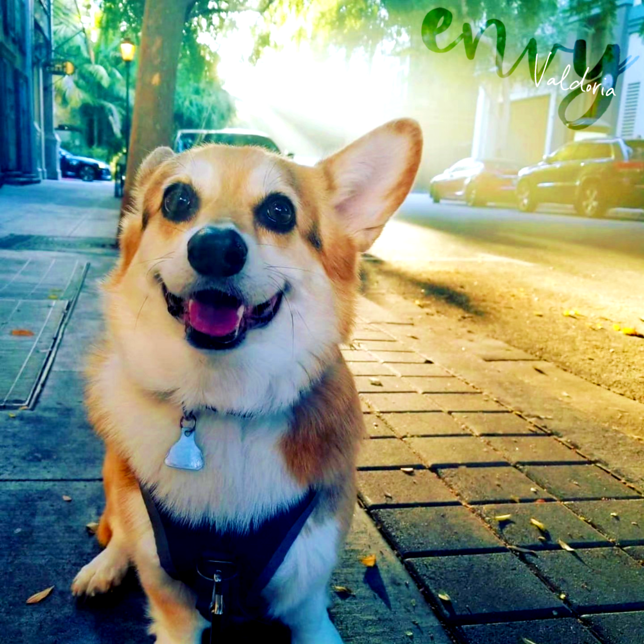 Science during an early morning walk at Santana Row in San Jose