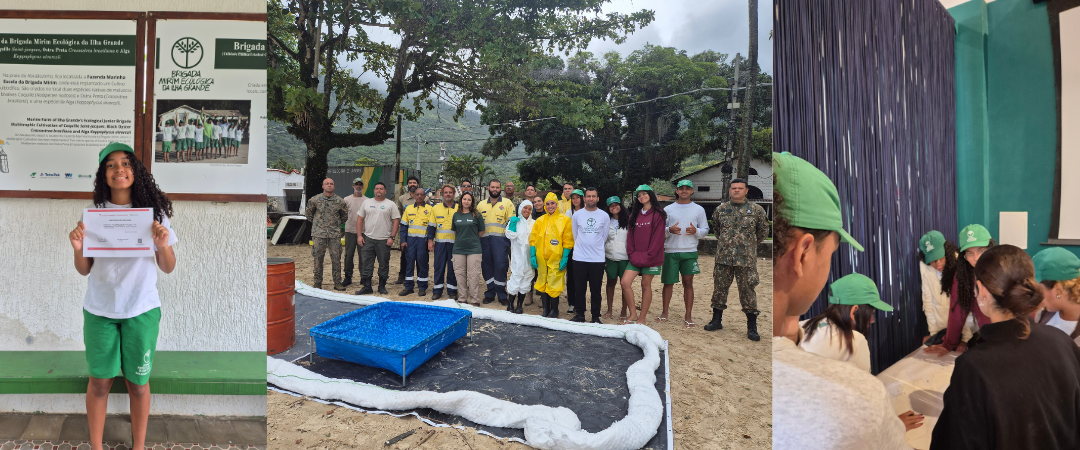 Descrição da imagem