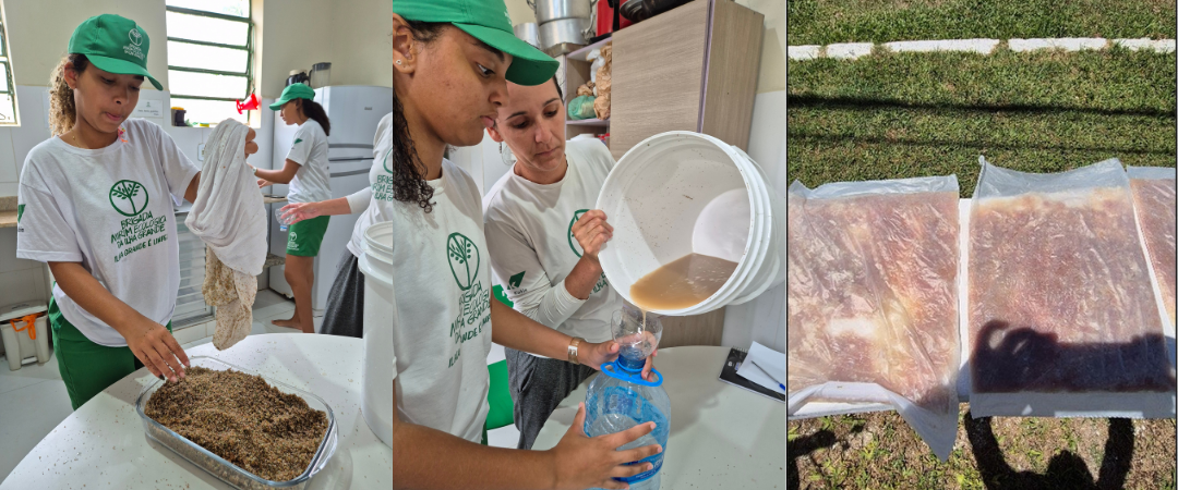 Descrição da imagem