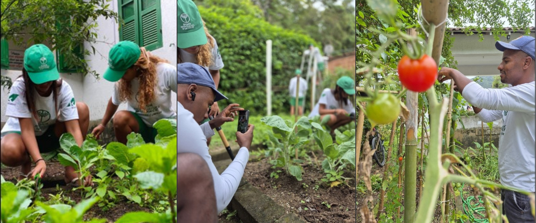 Descrição da imagem