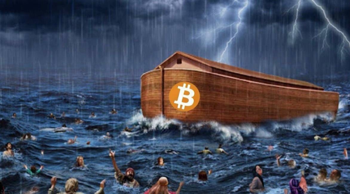 Bitcoin als Rettungsschiff