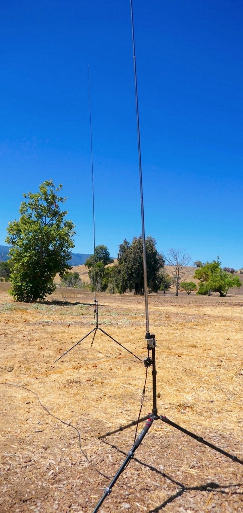 2-Element Parasitic PERformerArray