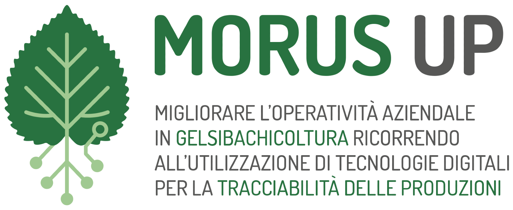 Morus Up