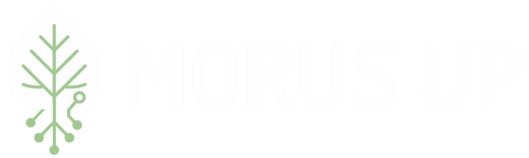 Logo Morus Up