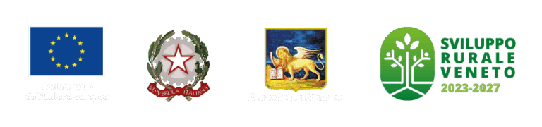 Loghi CSR Veneto