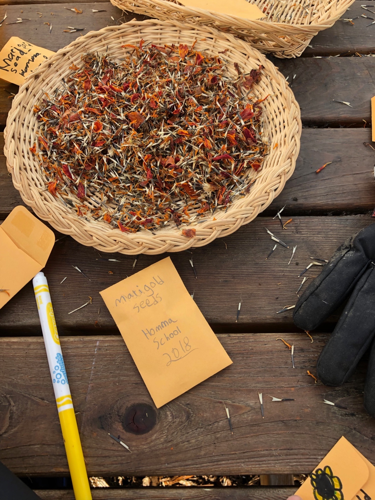 Fall gardening with kids