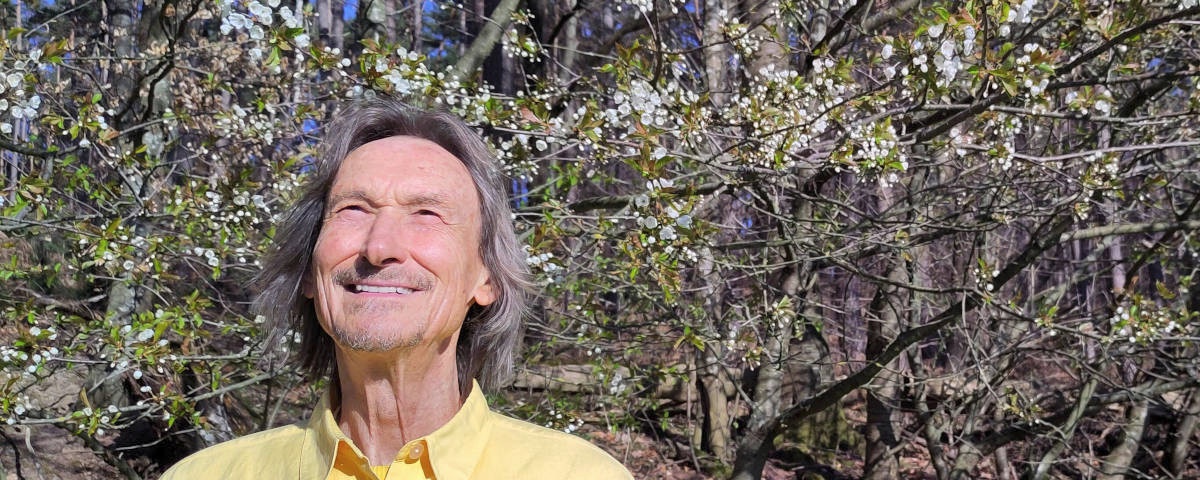Bodhi vor Frühlingsblüten im Odenwald