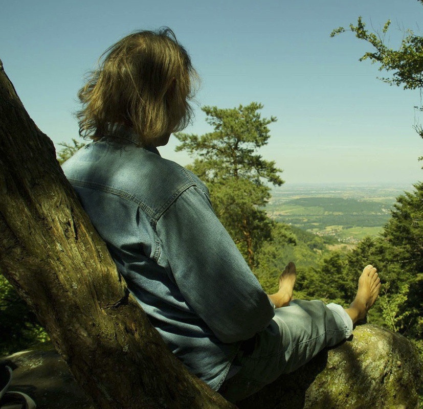 Symbolbild Bodhi beim STILLE-Retreat