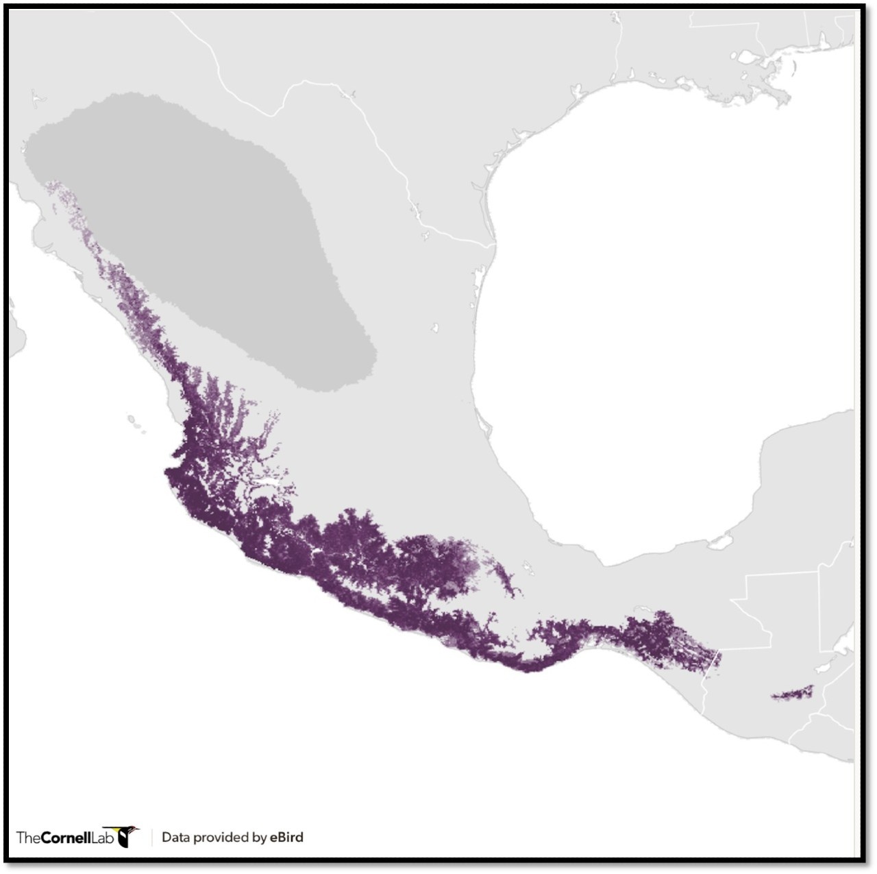 Image description