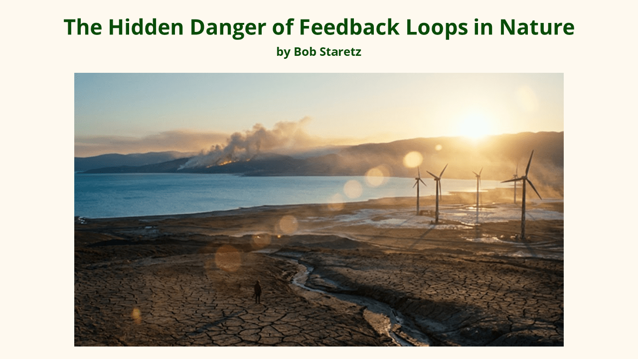 The Hidden Danger of Feedback Loops in Nature