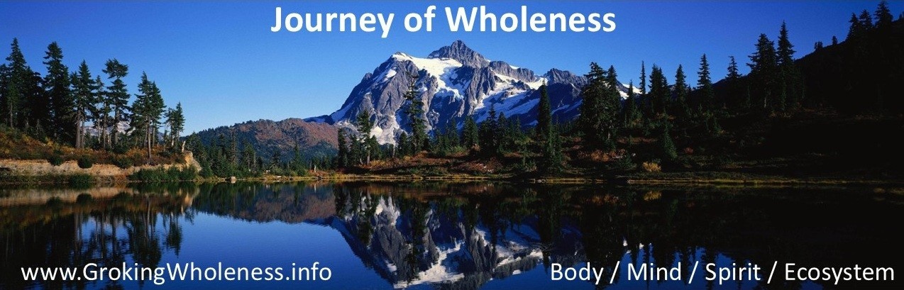 Groking Wholeness Logo