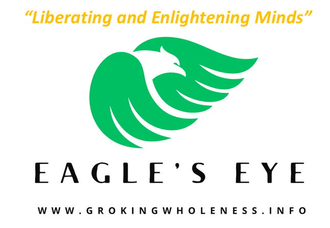 Eagle's Eye Experience