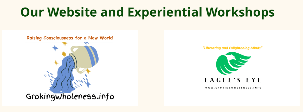 Website and Workshops