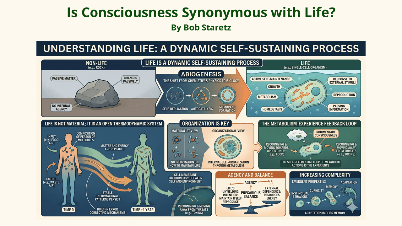 Understanding Life