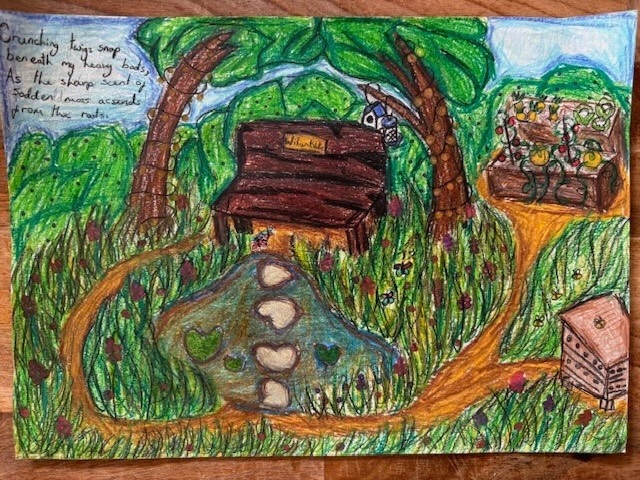 Wren Waller’s first-prize garden design, showing a bench, rich planting and a winding stepping-stone path.