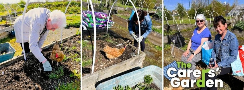 Gallery of photos from the Carers Garden showing people interacting with a chicken that is stood in a raised garden bed. Two women sit in the sunshine on the edge of the bed. The Carers' Garden logo is in the bottom right corner.