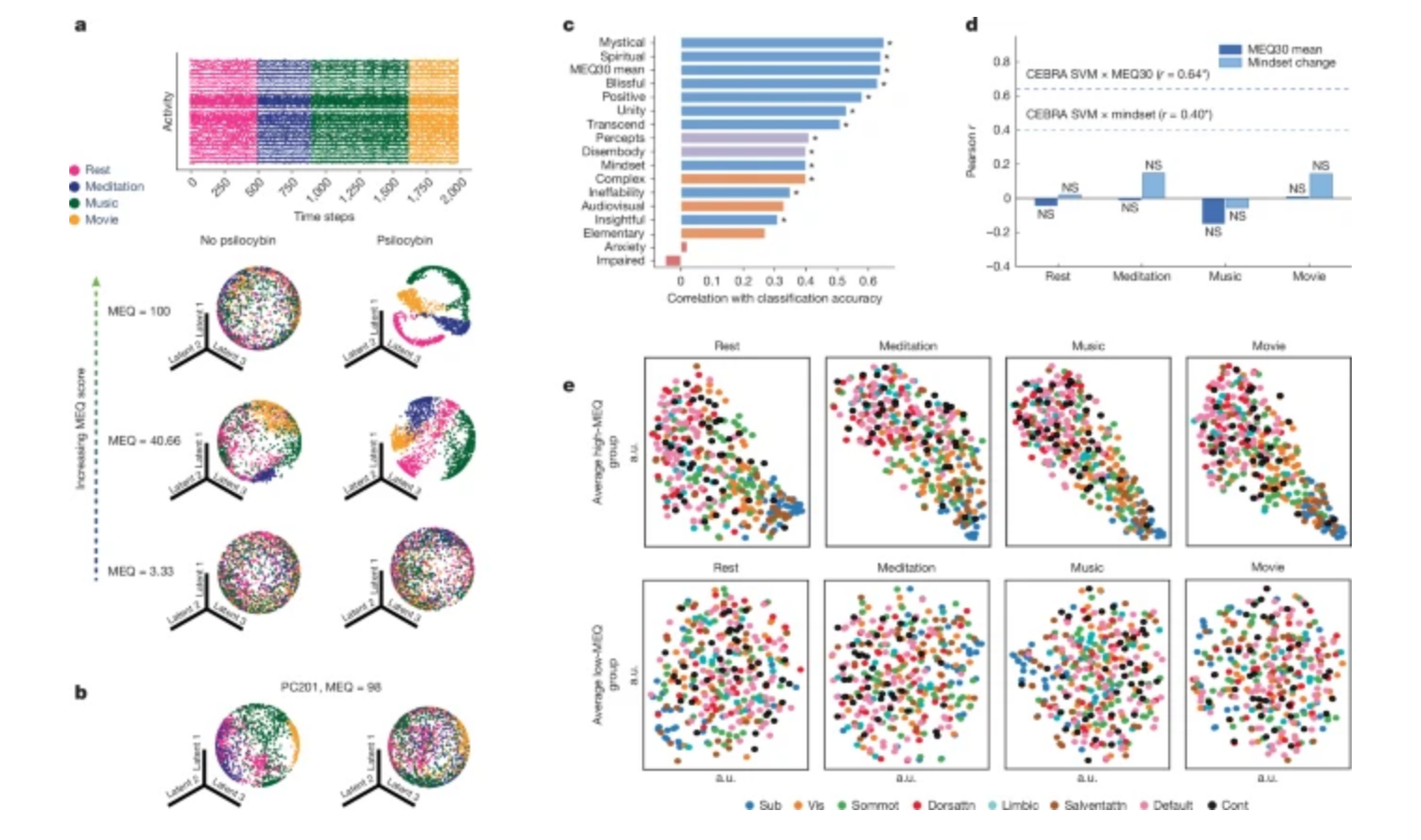 Research into psilocybin and the brain