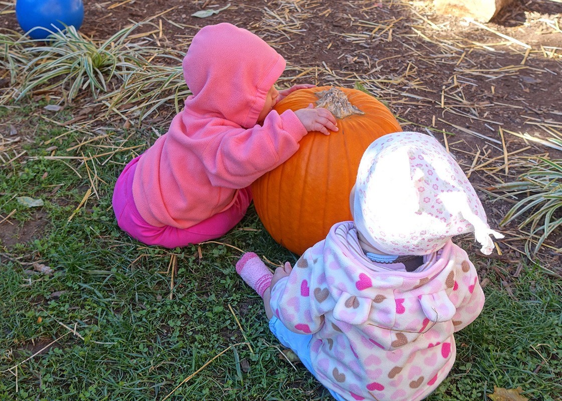 Using Pumpkins to Support Learning