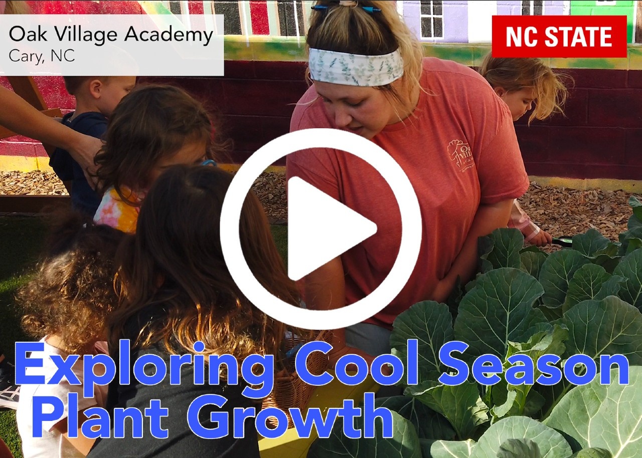 Cool Season: Exploring Plant Growth