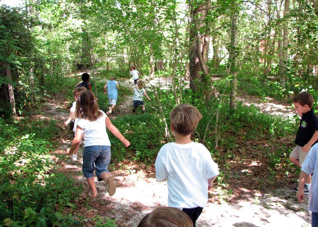 Conestee Nature Playscape