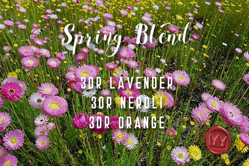 AQ Aromatherapy AQ Aromatherapy