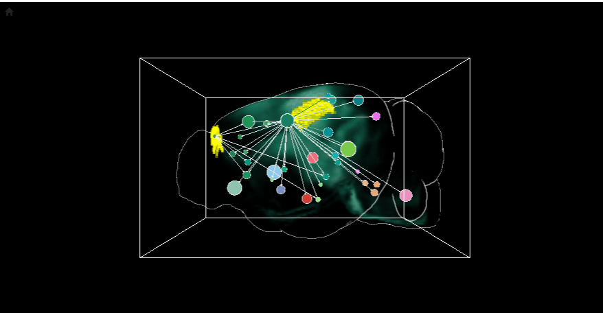 Bild: Screenshot von BrainTrawler