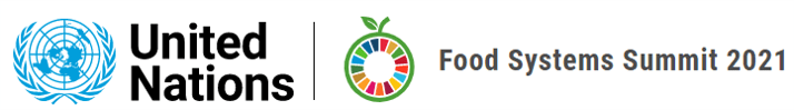 logo for UN Food Systems Summit