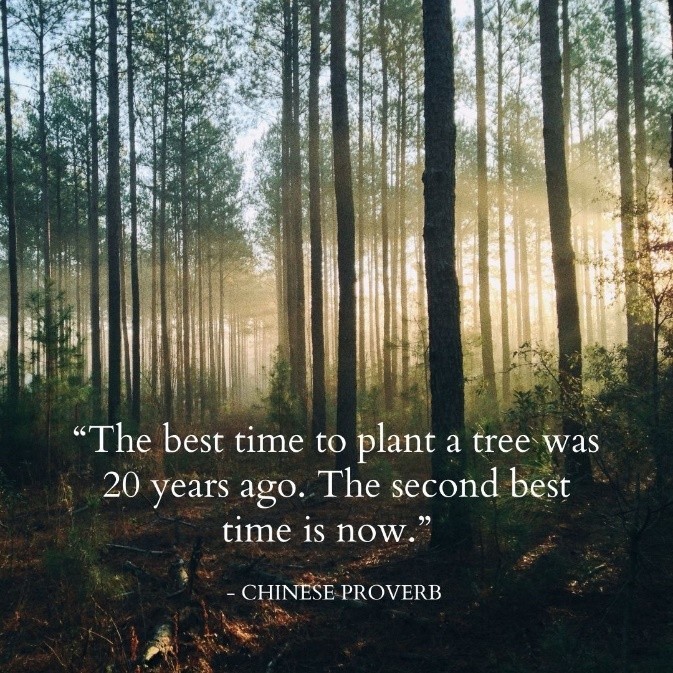 Image of forest with quote: "the best time to plant a tree was 20 years ago. The second best time is now" (Chinese Proverb)
