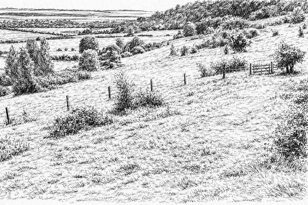 Image description
