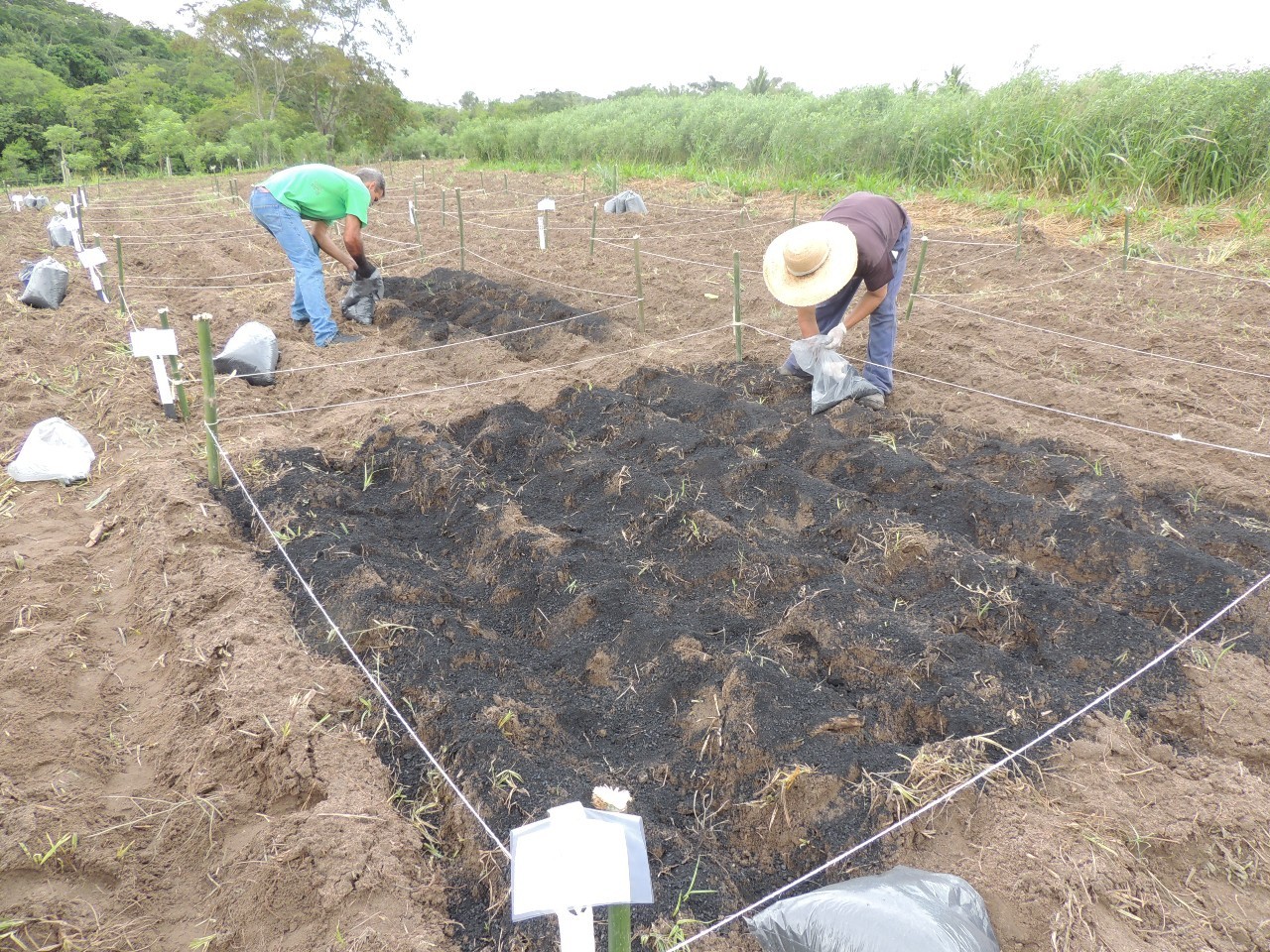 IIS apoia o Centro de Pesquisas Ambientais do Nordeste (Cepan) em projeto na Caatinga