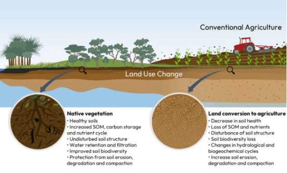 Research priorities for applied soil science