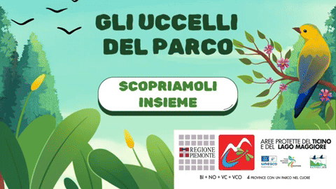 gif-c1-amjj5o-parco-learning-gli-2025-06-10-131742