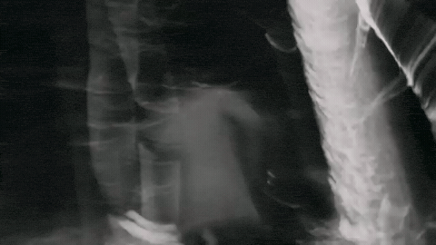 gif-c1-e1jdwr-theosophy-path-to-2026-07-30-121903