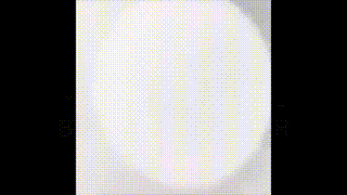 gif-c2-bq7opr-hold-my-soul-2025-12-21-121113