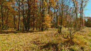 gif-c2-elxyjj-last-breath-of-fall-2025-11-19-170829