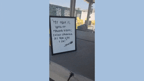 gif-c1-exq5yw-june-waves-youtube-2026-06-22-205944