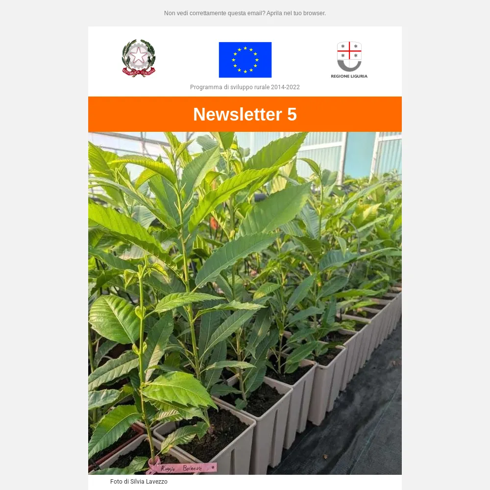 thumbnail newsletter 5