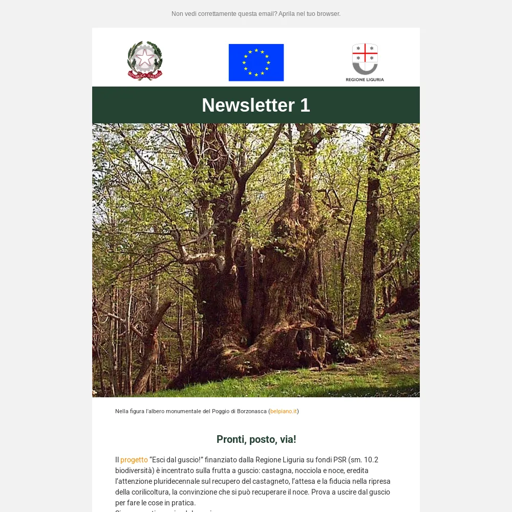 thumbnail newsletter 1