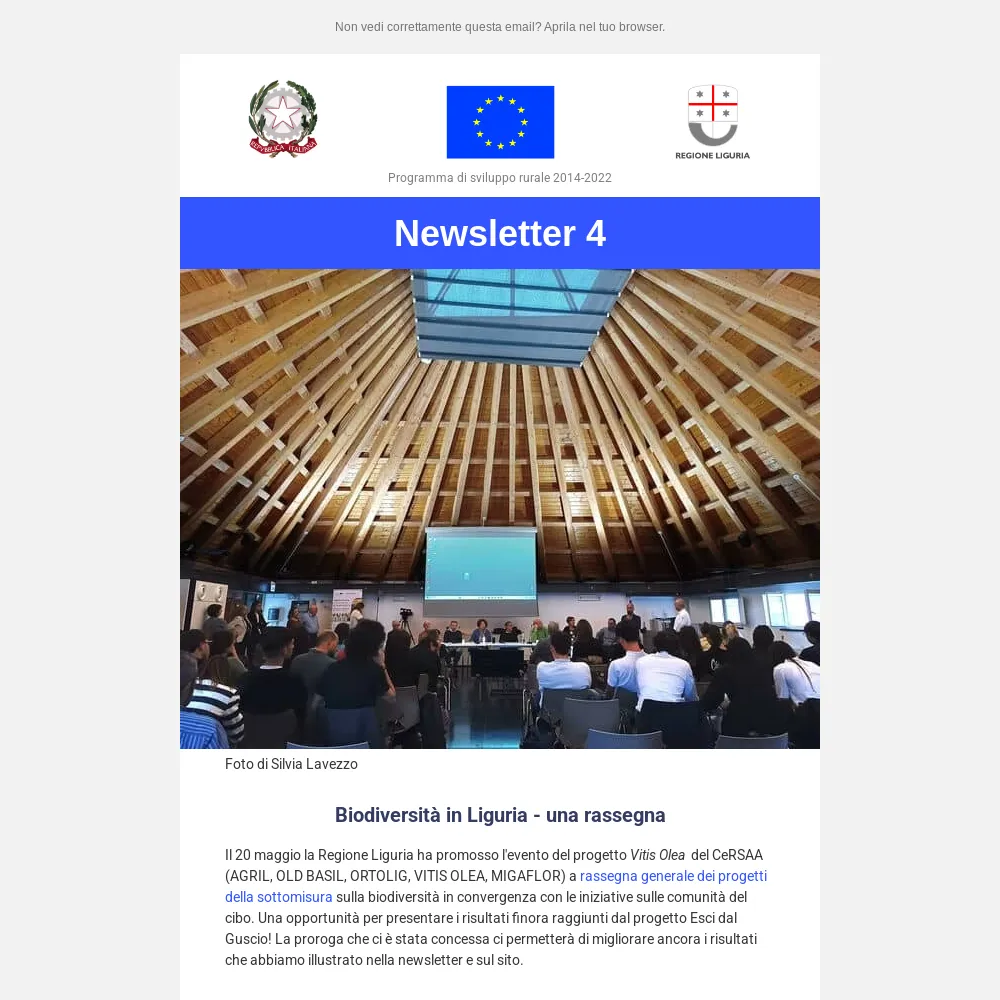 thumbnail newsletter 4