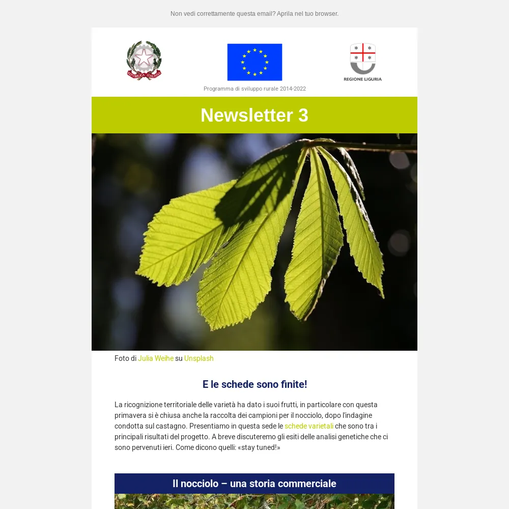 thumbnail newsletter 3