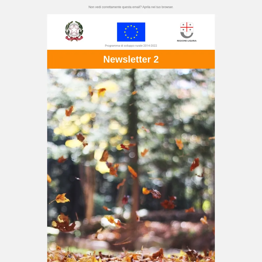 thumbnail newsletter 2